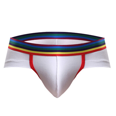 

Mens Sexy Low Rise Knickers Lingerie Underwear Breathable Bulge Pouch Briefs
