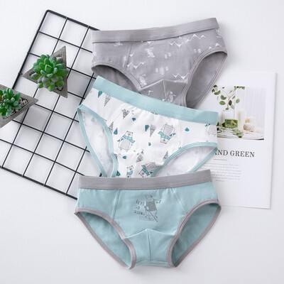 

3PCS Casual Baby Boy Underpants Cute Cartoon Printing Panties Childrens Elastic Band Underpants Kids Briefs Wears 3-14Y
