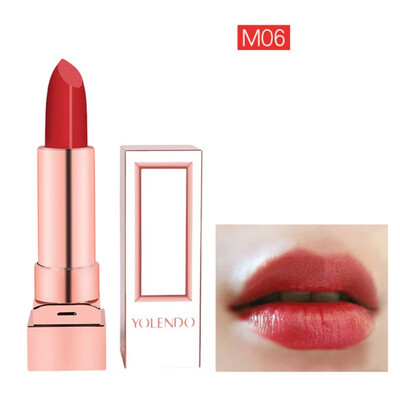 

Sexy Red Matte Velvet Lipsticks Color Cosmetics Pigments Waterproof Long Lasting Moisturizing Lipstick Lips Beauty new arrival