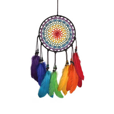 

Colorful Life Manual Woven Crochet Feather Dream Catcher Wall Hanging Home Decoration Gifts Birthday