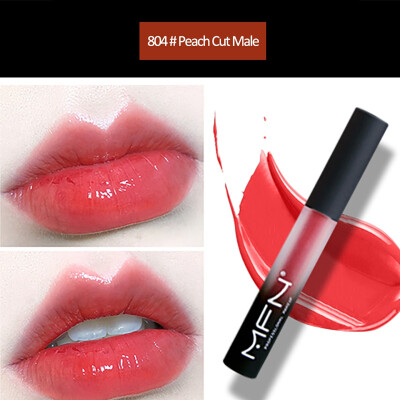 

Moisturizer Smooth Lip Stick Waterproof Long-lasting Lip Tint Cosmetic Matte Liquid Lipstick