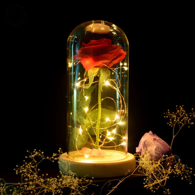 

LED Beauty Rose&Beast Battery Powered Red Flower String Light Desk Lamp Romantic Valentine\s Day Birthday Gift Decoration