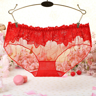 

Women Girls Sexy Lace Low Waist Thongs Underwear Briefs Knickers LingerieWith