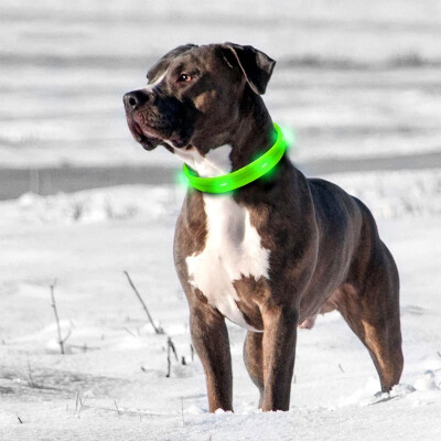 

LED Light Collar for Dogs Luminous USB Rechargeable LED Collar Dog Collar