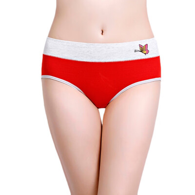 

Womens Embroidered Butterfly Plus Size Briefs Fashion Trend Sweet Mid Rise Cotton Comfortable Solid Color Panties