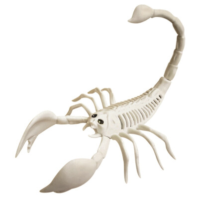 

Halloween Accessories Skeleton Holiday Party Tools Escape Skeleton Space Spider Snake Bat Model Skeleton