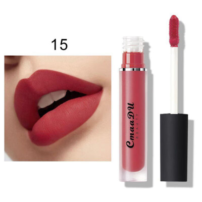 

2019 15-color Lip Gloss Waterproof Smudge-proof Fashion Sexy Silky Liquid Lipstick