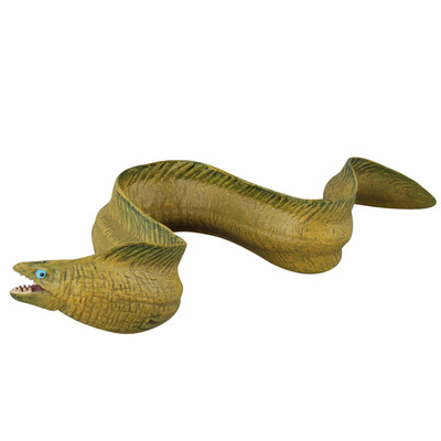 

〖Follure〗Ocean Sea Animal Bath Toys Realistic Figurines Toys Sea Eel Sailfish for Kids