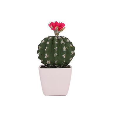 

Toponeto Simulated Potted Cactus Artificial Green Plant Potted Flower Art Home Decor