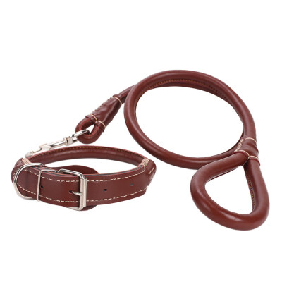 

Durable Quality Leather Weaving Round Belt Dog Leash Comfortable Classic Pet Dog Collar Pet Dog Supplies