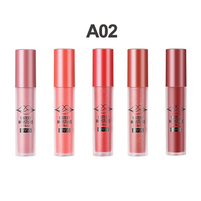 

5pcs Matte Lipstick Set Long Lasting lip gloss Makeup lip tint 5 Colors Set Waterproof Easy to wear Moisturizing