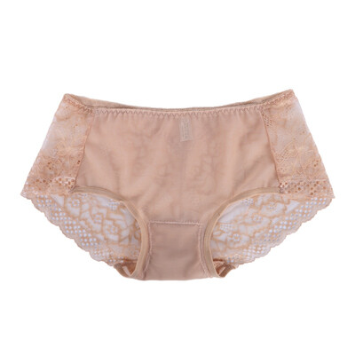 

2016 Women Underwear Seamless Transparent Sexy Lace Brief Womens Briefs