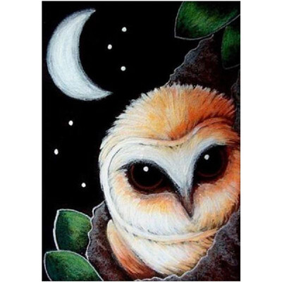 

DIY Diamond Painting Cross Stitch Cute Owl Full Round Diamond Embroidery Rhinestone Home Decor Handwork Gift Canvas Size 25x30cm