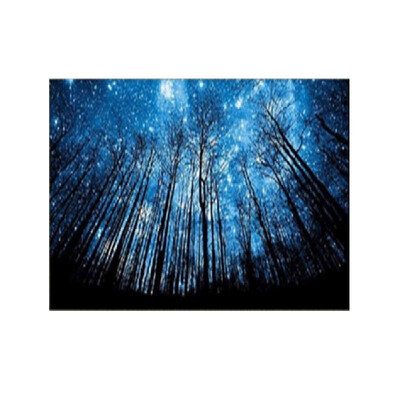 

DIY Diamond Painting Rhinestone Mosaic Embroidery Cross Stitch Star Sky Full Round Mosaic Gift needlework Canvas size 4025 full