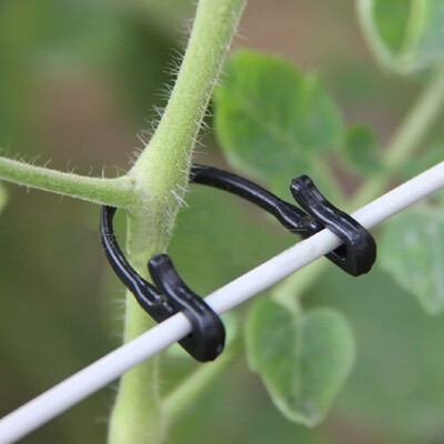

Garden Plant Vines Tied Buckle Fixed Lashing Hook Agricultural Greenhouse Vegetable Gadget Garden Plastic Planters 100pcs