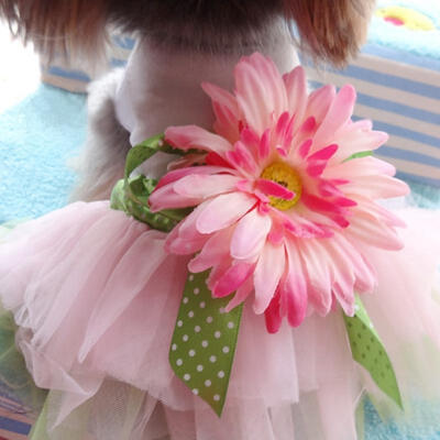 

pet clothing dog dress pet clothes spring&summer petals trade brand tutu dress
