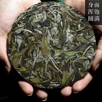 

Top Grade Bai Mu Dan Cake White Peony White Tea 100g
