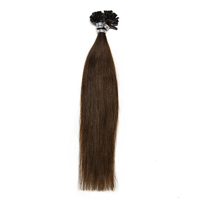 

Neitsi 12inch 50 Strands U Tip Hair Extensions Keratin Fusion Human Hair Extensions Straight