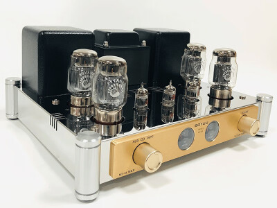 

REISONG Boyuu MT-88 KT884 tube amp push-pull hi-fi audio high power amplifier