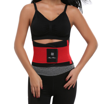 

SLIMBELLE Waist Trainer Belt for Women Waist Cincher Trimmer Slimming Body Shaper Belt Sport Girdle Belt