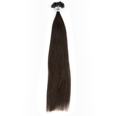 

Neitsi 16inch 25 Strands U Tip Hair Extensions Keratin Fusion Human Hair Extensions Straight