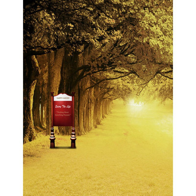 

Rising Sun Photo Backdrop 57FT Vinyl Fabric Cloth Digital Printing Background s-2401