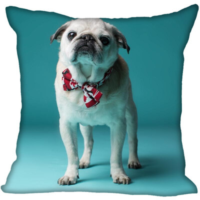 

Pug Pillow Case High Quality New Years Pillowcase Wedding Decorative Pillow Cover Gift For Children