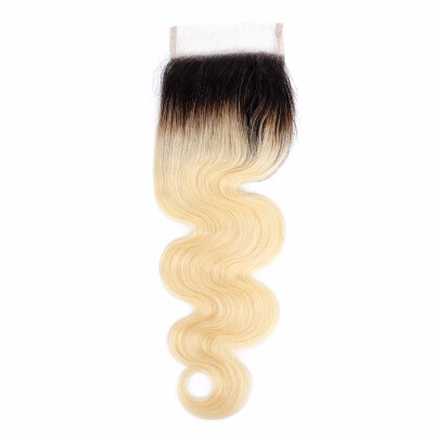 

Nami Hair Wholesale Price 4x4 Ombre Color T1B613 Lace Closure Brazilian Body Wave Remy Human Hair Free Part