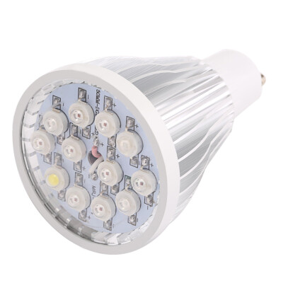 

E27 AC 85 - 265V 12W LED Grow Light for Indoor Plant with 12 LEDs