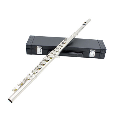 

Western Concert Flute Cupronickel Plated Silver 16 Holes C Key Woodwind Instrument with Cleaning Cloth Stick Gloves Mini Screwdriv