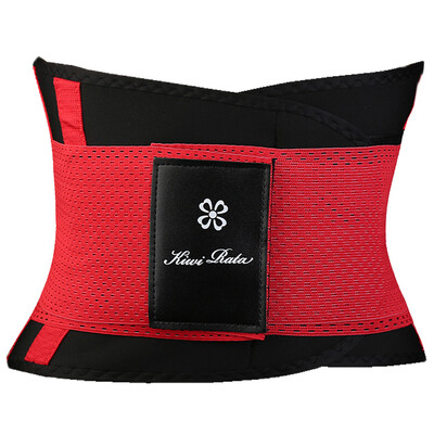 

SLIMBELLE Waist Trainer Belt Body Shaper Belly Wrap Trimmer Slimmer Compression Band for Weight Loss Workout Fitness