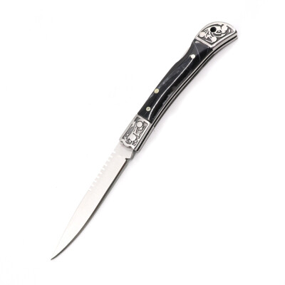 

Miniature stainless steel folding fruit knife