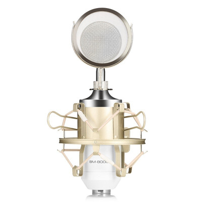 

LEIHAO BM - 8000 Professional Sound Studio Recording Condenser Microphone with 35mm Plug Stand Holder