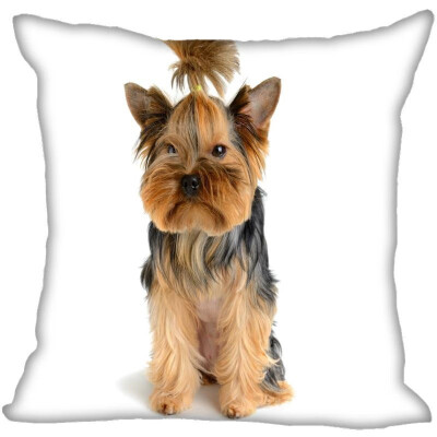 

Yorkshire Terrier Pillow Cover Bedroom Home Office Decorative Pillowcase Square Zipper Pillow Cases Satin Fabric No Fade