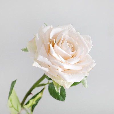 

Factory direct Yiwu artificial flower wholesale single romantic rose home decoration fake flower wedding simulation plant 8007A re