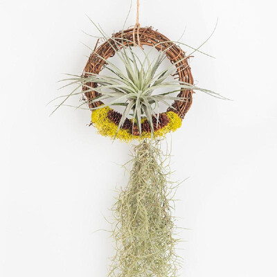 

Rattan rattan ring flower shop DIY handmade door hanging floral wreath American country Christmas decoration bare circle dried flo