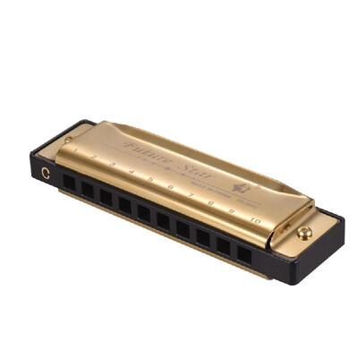

Key of C Diatonic Harmonica Mouthorgan with ABS Reeds Mirror Surface Design 10 Holes Blues Harmonica Perfect for Beginners Profess