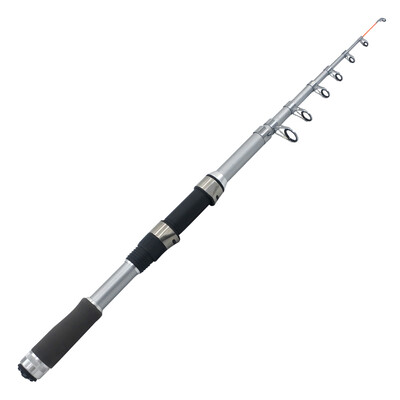 

Portable Boat Telescopic Spinning Fishing Rod for Sea