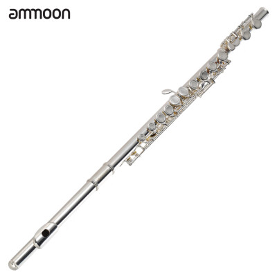 

ammoon High Quality Flute Cupronickel Silver Plated 16 Closed Holes C Key with Case Screwdriver Wind Instruments for Beginner Stud