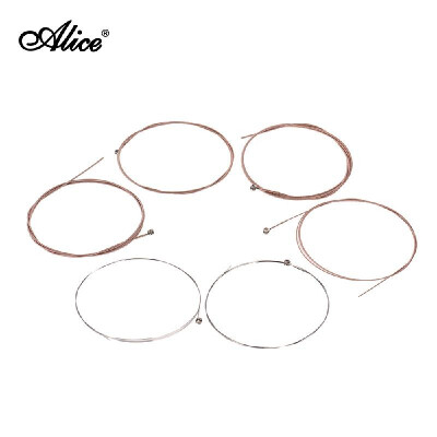 

Alice A206- Light Acoustic Guitar Strings Set Stainless Steel Strings for 36Inch - 42Inch Acoustic Guitars Pack of 6PCS