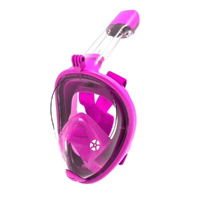 

180° Panoramic View Float Full Dry Face Diving Mask Underwater Anti-fog Anti-leak Scuba Snorkeling Swimming Mask with Camera Mount