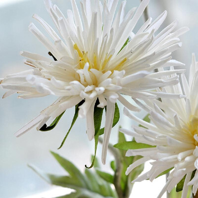 

Factory direct single crab claw chrysanthemum simulation fake flower pot plant home decoration flower wedding road lead bonsai Pin