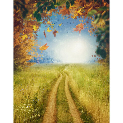 

Field Autumn Photo Backdrop 57FT Vinyl Fabric Cloth Digital Printing Photo Background s-2214