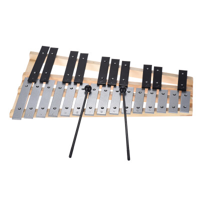 

25 Note Glockenspiel Xylophone Educational Musical Instrument Percussion Gift with Carrying Bag