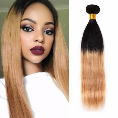 

Nami Hair Ombre Color T1B27 Brazilian Straight Hair Bundles 4 Pieces 100 Human Hair Extensions