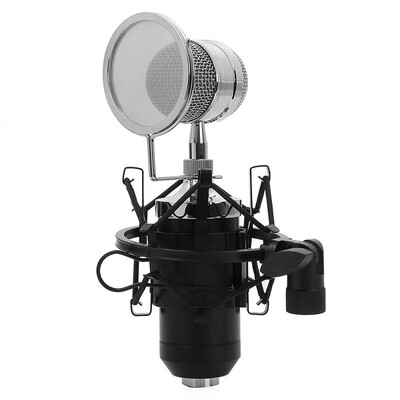 

LEIHAO BM - 8000 Professional Sound Studio Recording Condenser Microphone with 35mm Plug Stand Holder