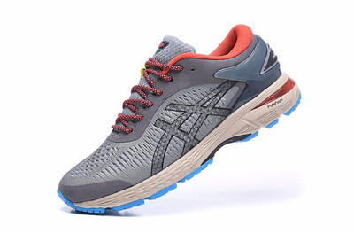 

ASICS GEL-KAYANO 25 Mens Running Shoes
