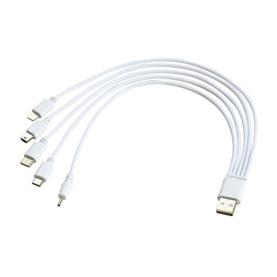 

5 in 1 USB Charging Cable for Micro 8 pin Type-C Mini DC 20mm Port