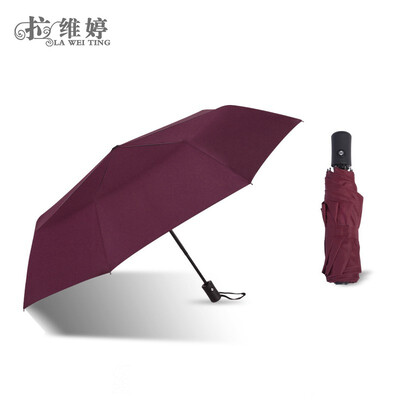 

LAWEITING Fully automatic impact windproof umbrella 6954