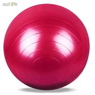 

Outlife 65cm PVC Exercise Gym Yoga Ball for Fitness Training